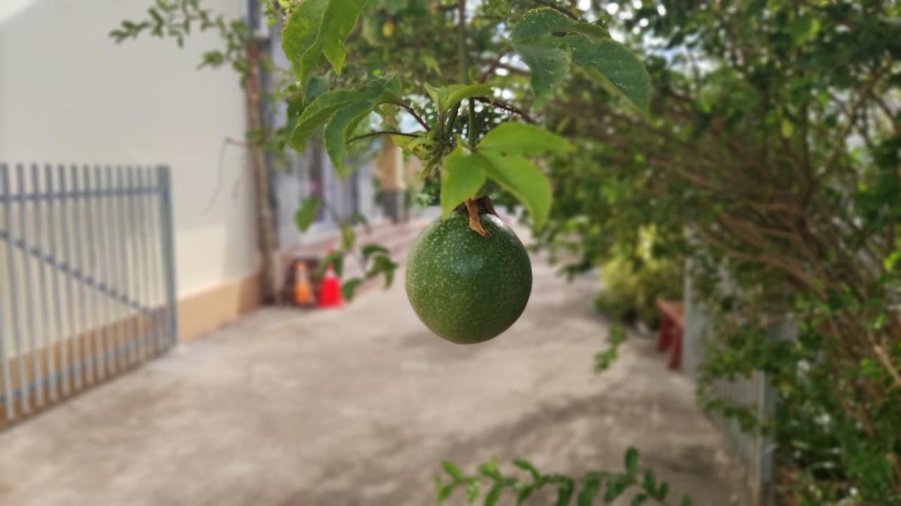 Monica Guesthouse Kampot Kültér fotó